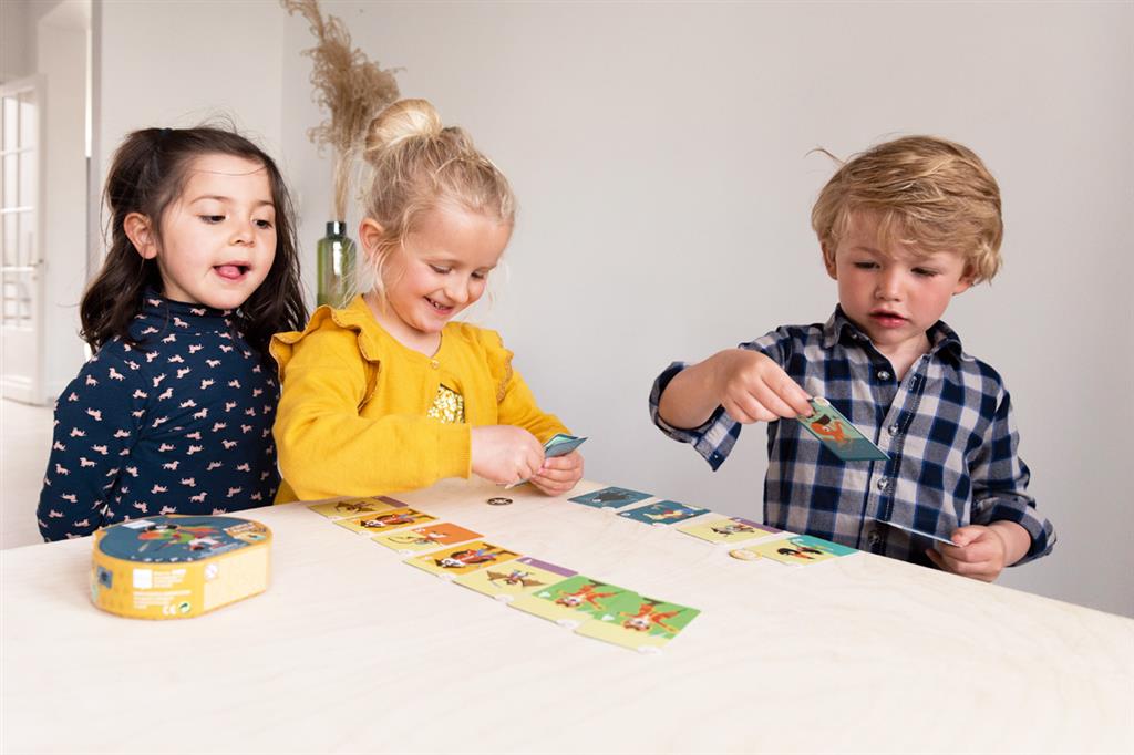 Pirate'S Quest, With 3 Different Games, In Contour Box