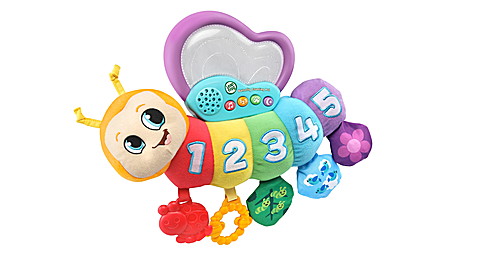 Butterfly Counting Friend™ View 5