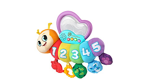 Butterfly Counting Friend™ View 6