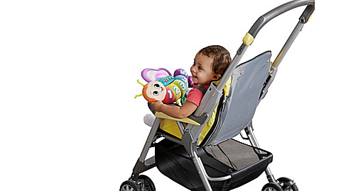 Butterfly Counting Friend™ View 8